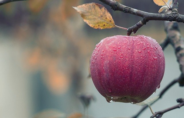 Kiedy najlepiej pić ocet jabłkowy – rano czy wieczorem?